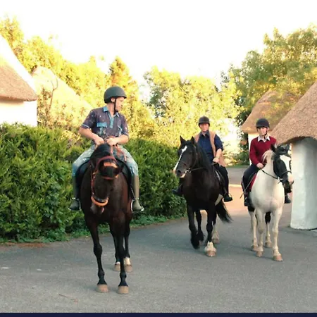 Thatched 4 Persons Appartement