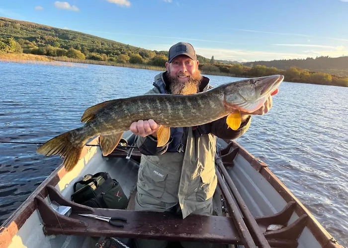 Appartement Thatched 4 Persons