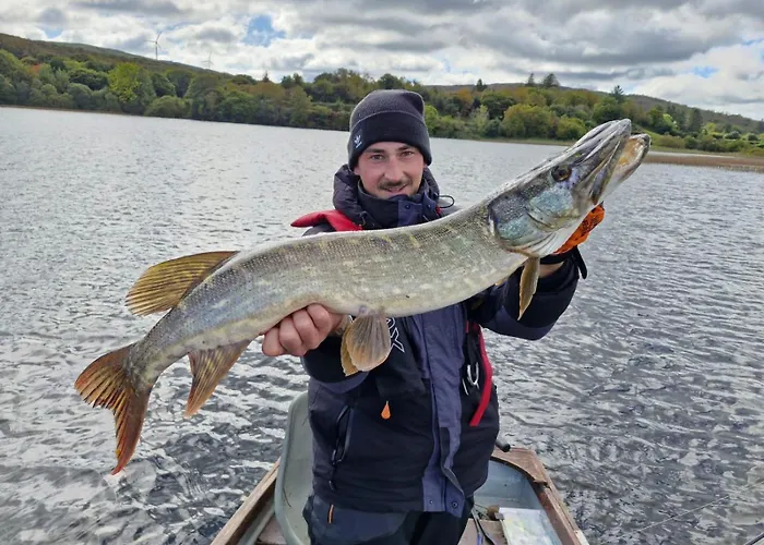 Thatched 4 Persons Appartement Currahy Bridge